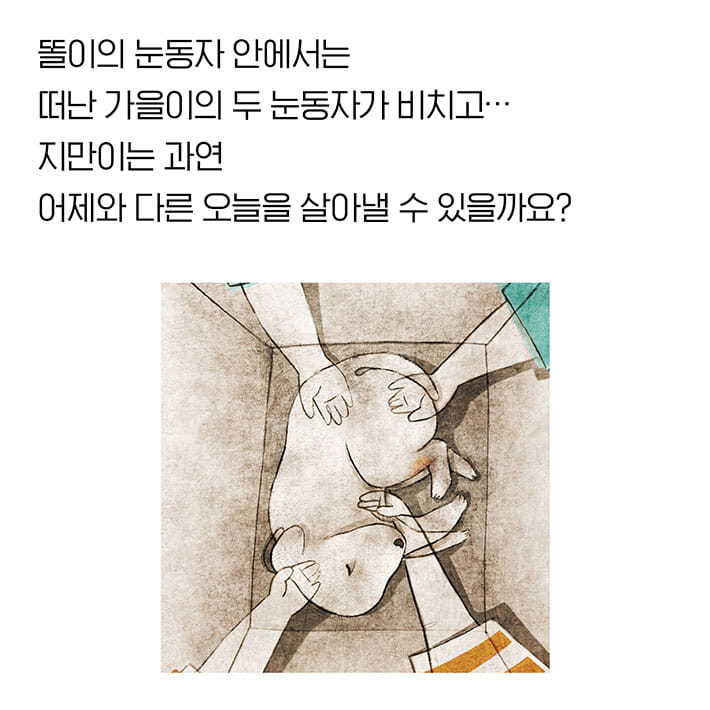 카드뉴스8