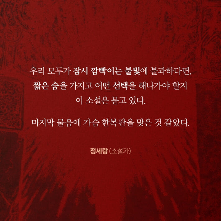 카드뉴스1