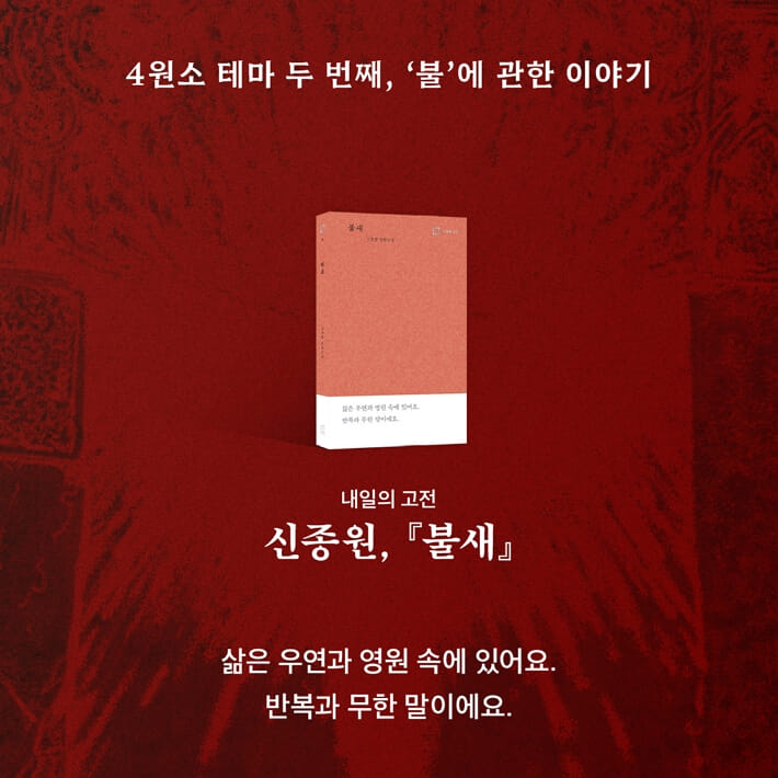 카드뉴스6