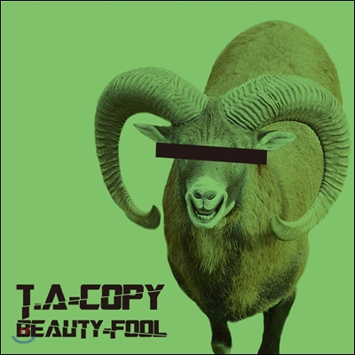 타카피 (Tacopy) - Beauty-Fool