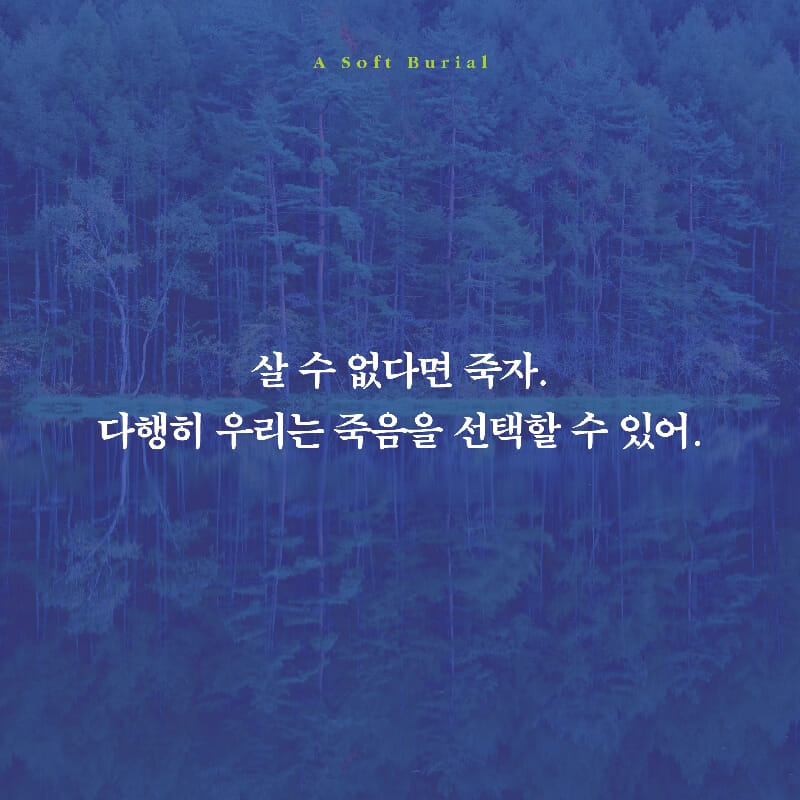 카드뉴스1