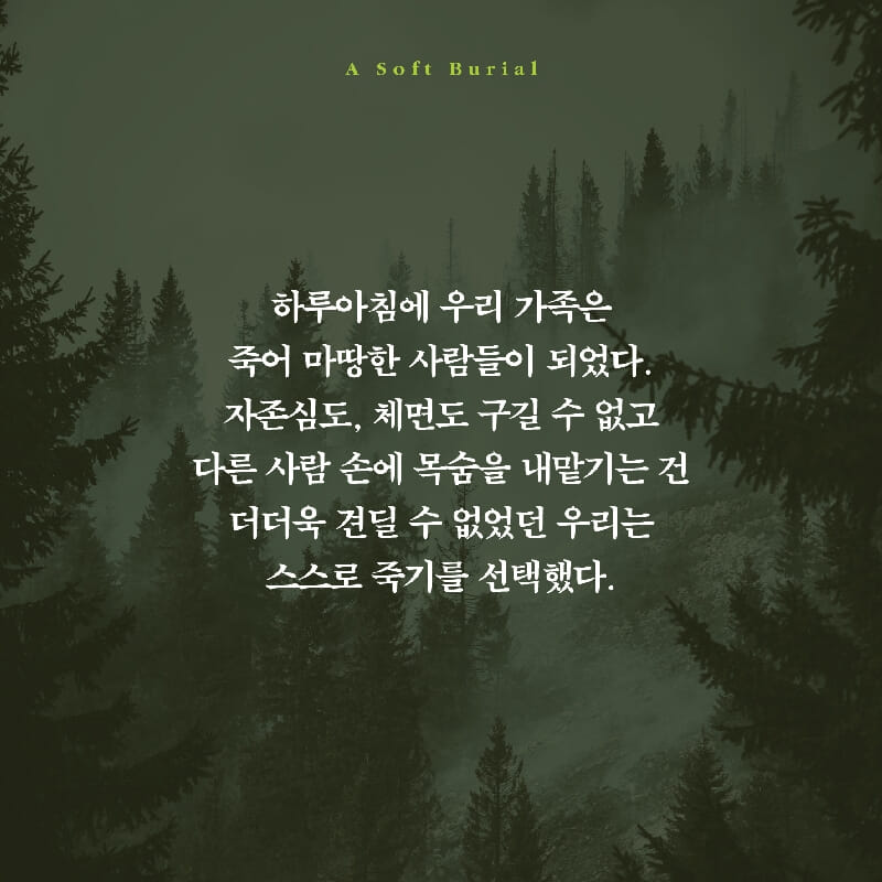 카드뉴스2