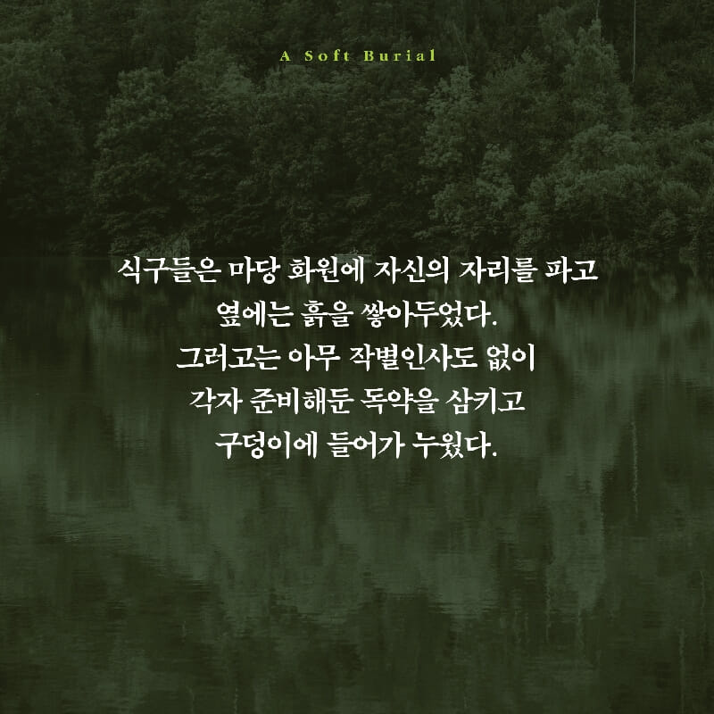 카드뉴스3