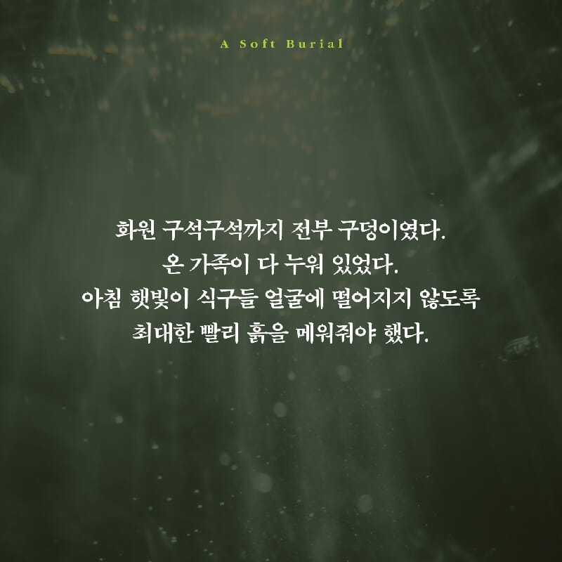 카드뉴스4