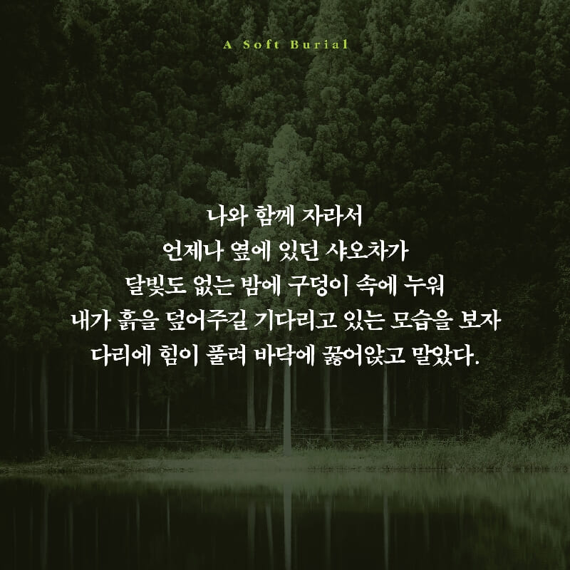 카드뉴스5