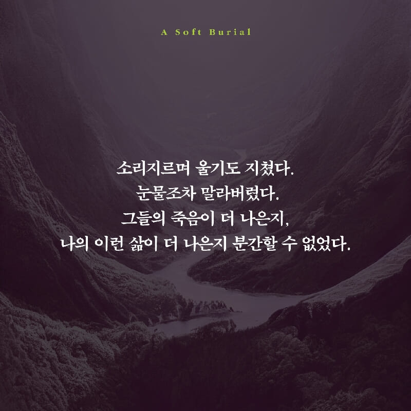 카드뉴스6