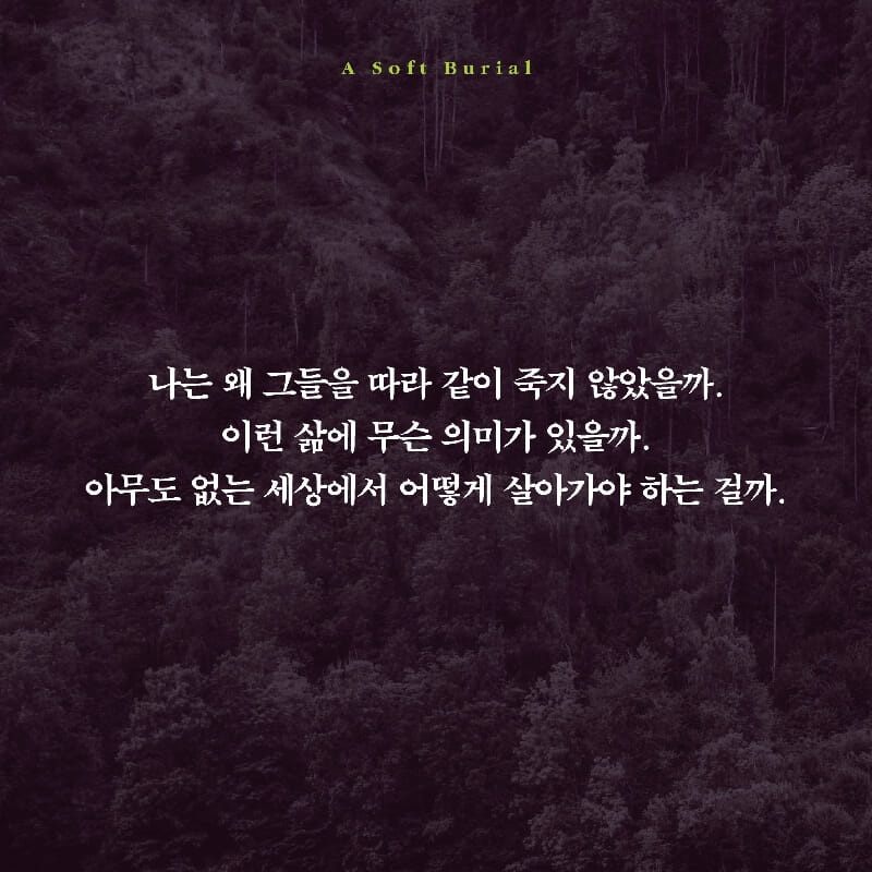 카드뉴스7