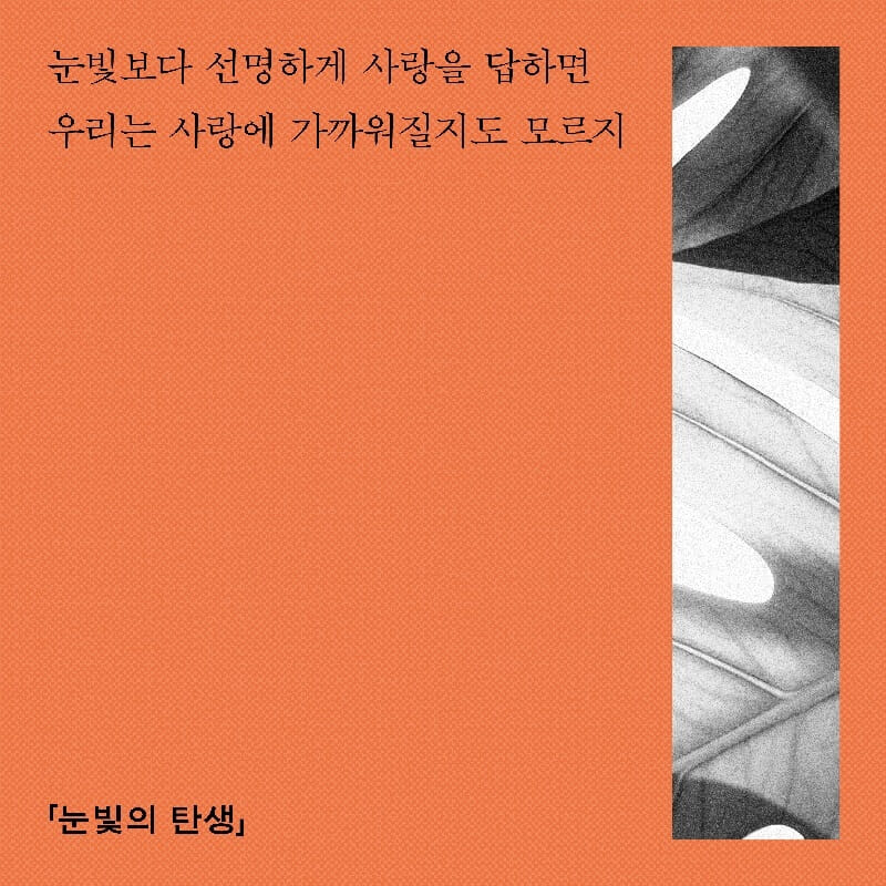 카드뉴스2