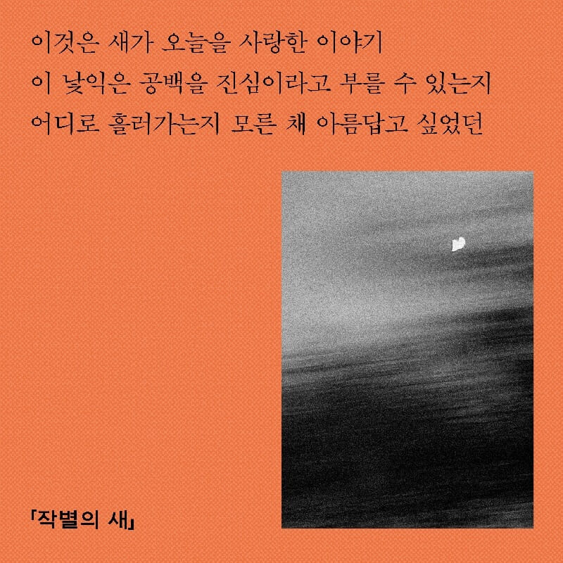 카드뉴스5