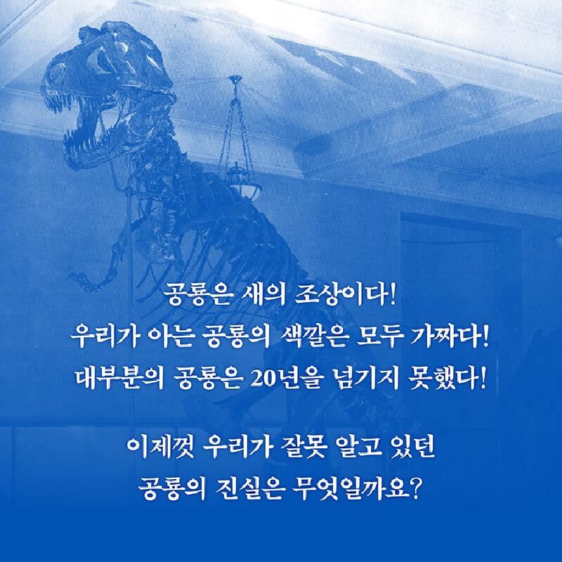 카드뉴스2