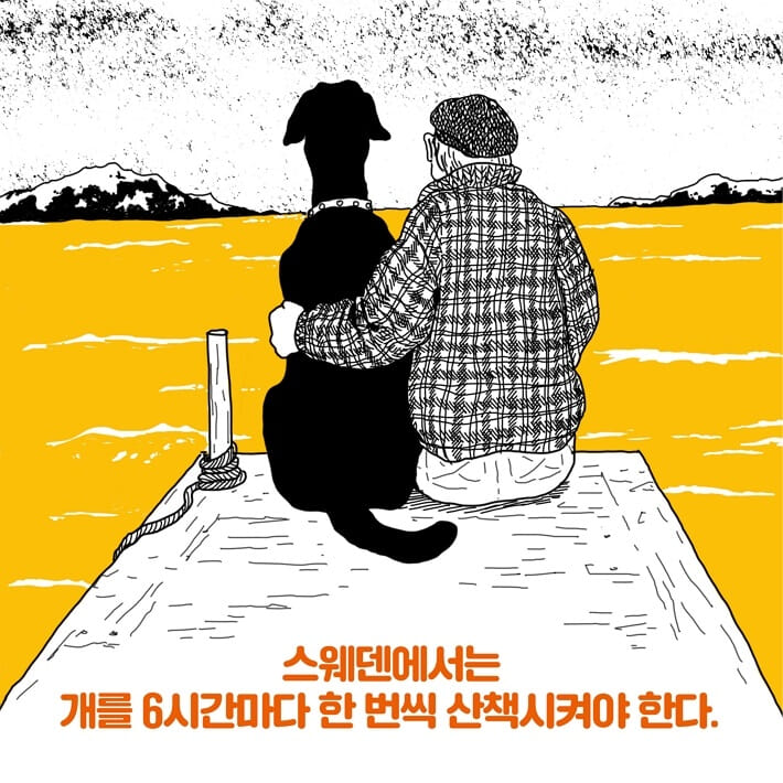 카드뉴스6