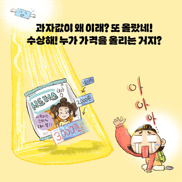 카드뉴스2