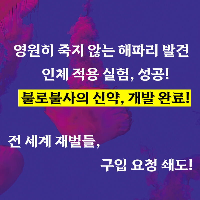 카드뉴스