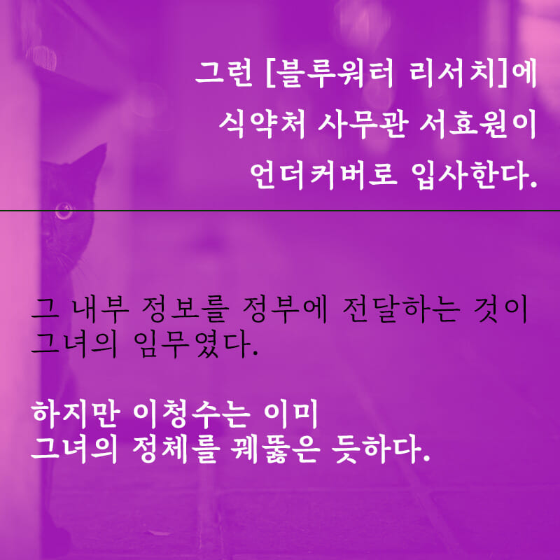 카드뉴스