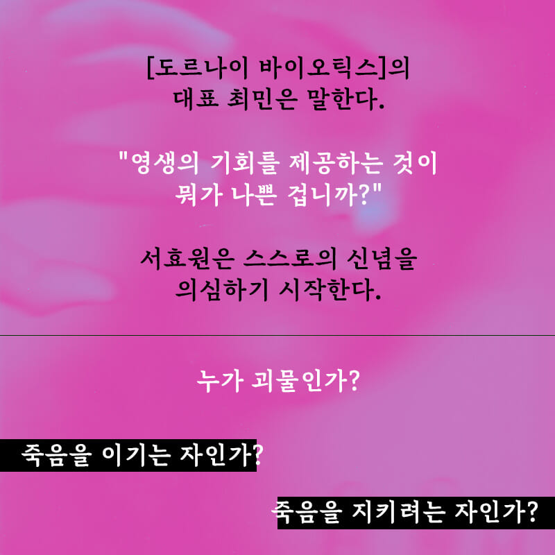 카드뉴스