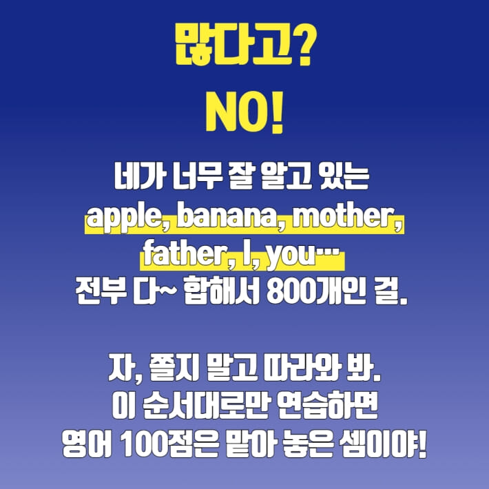 카드뉴스3