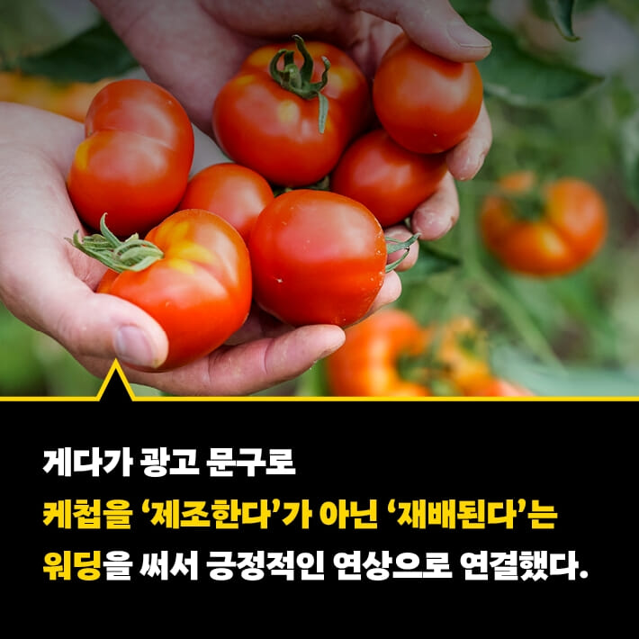 카드뉴스6