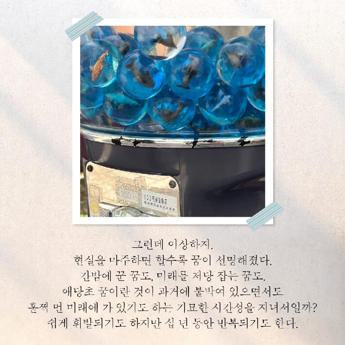카드뉴스5