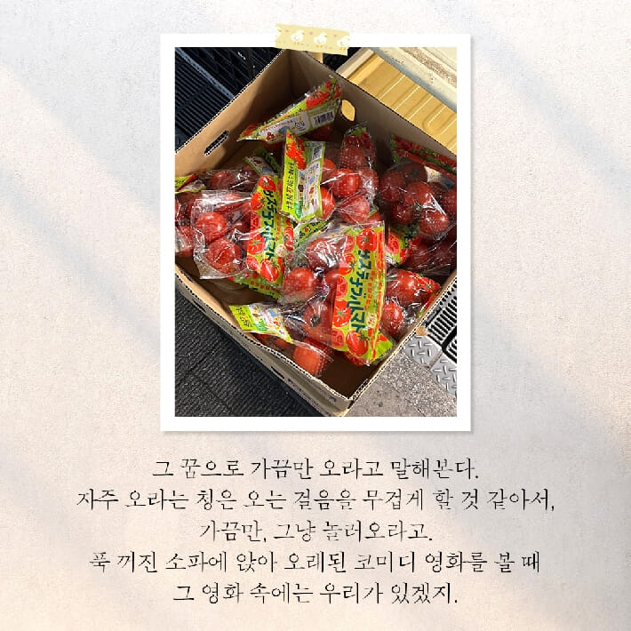 카드뉴스6