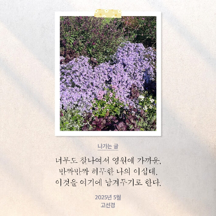 카드뉴스8