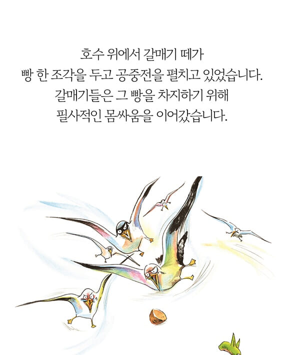 카드뉴스3