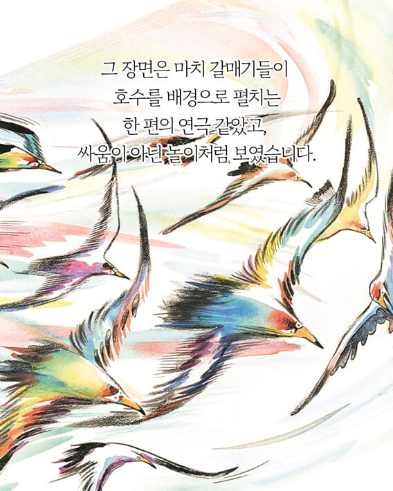카드뉴스5