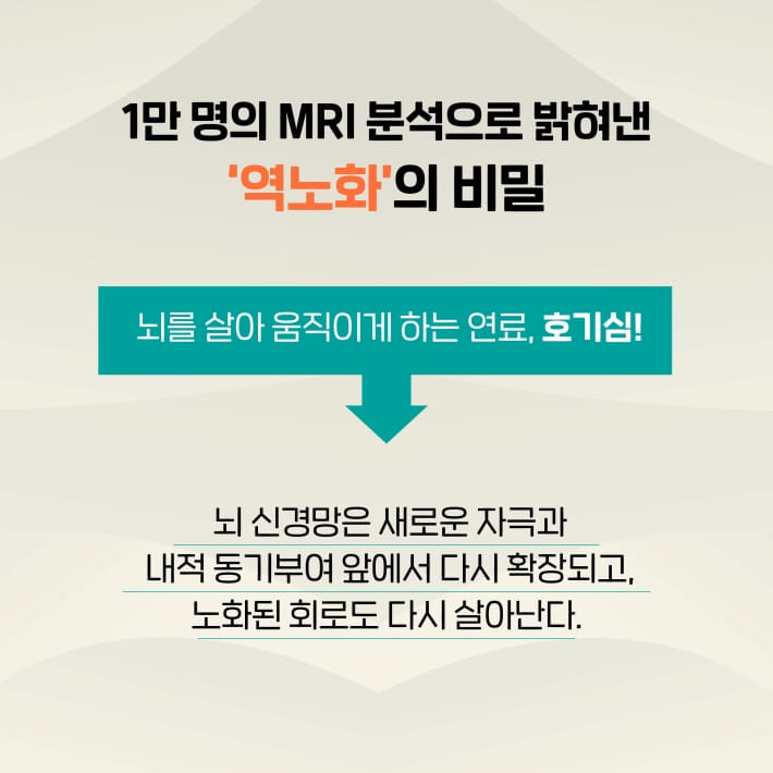 카드뉴스4