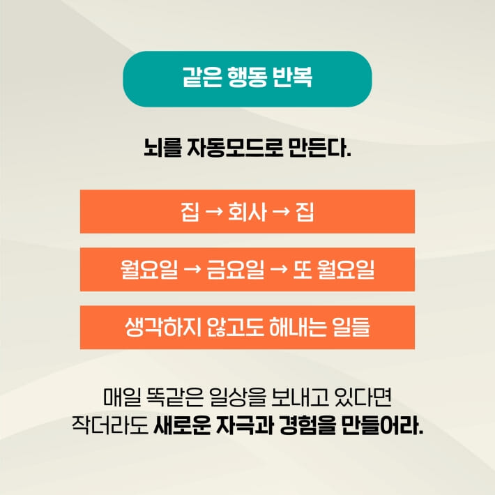 카드뉴스6