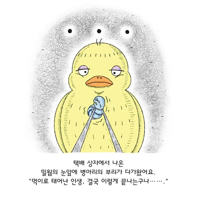 카드뉴스3