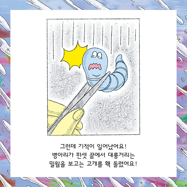 카드뉴스4