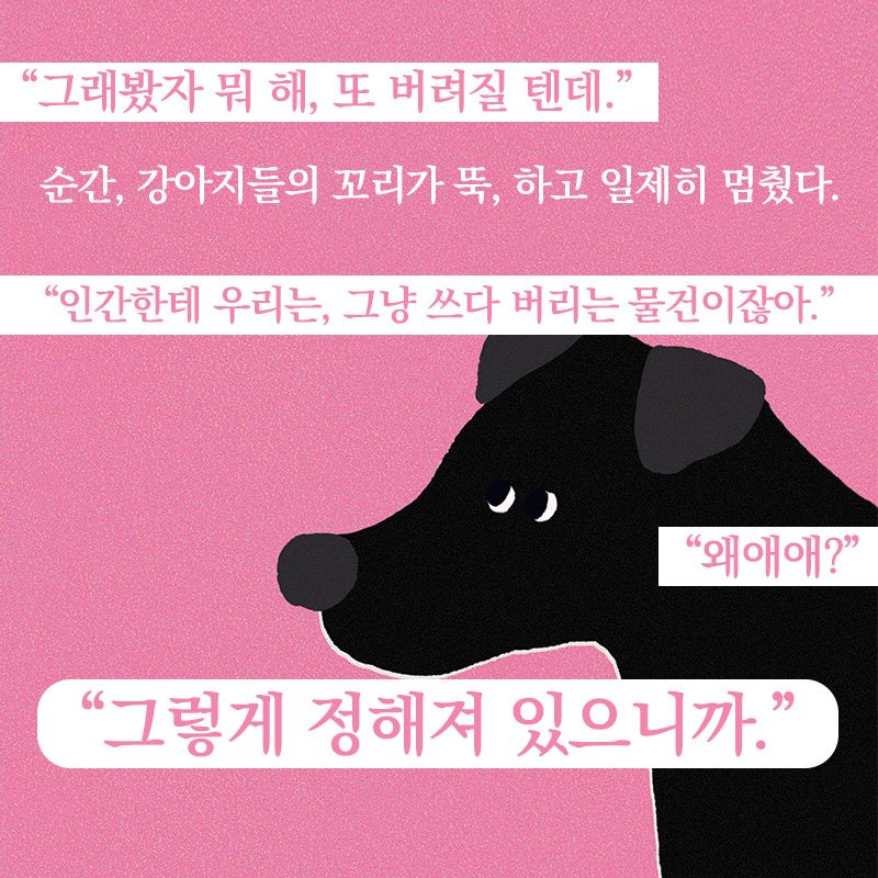 몇 번 산책하면 헤어지는지 아는 강아지
