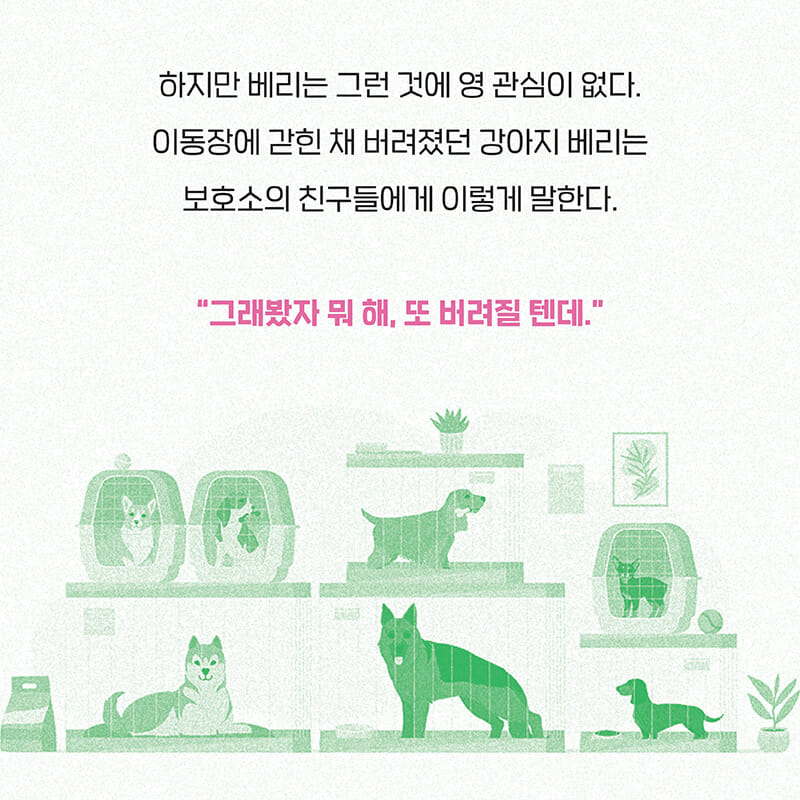 카드뉴스