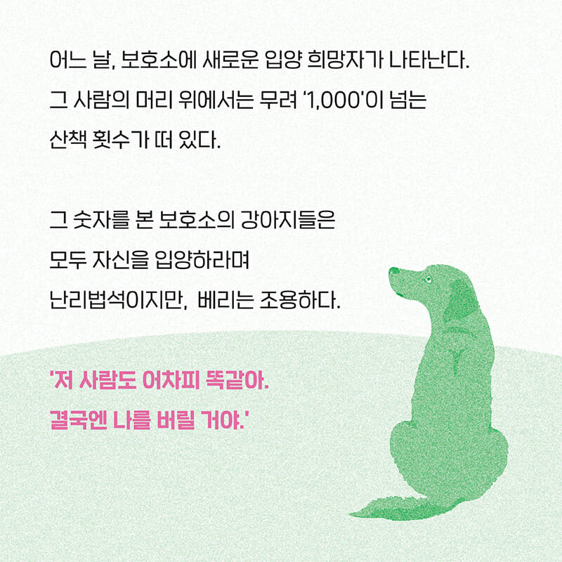 카드뉴스