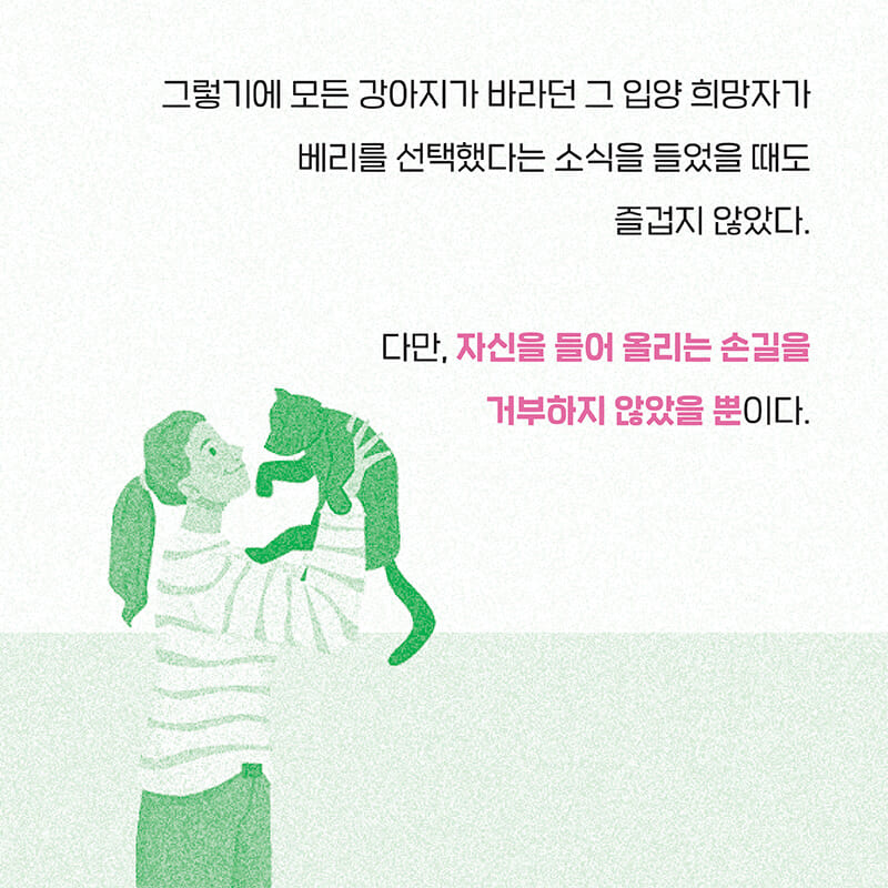 카드뉴스