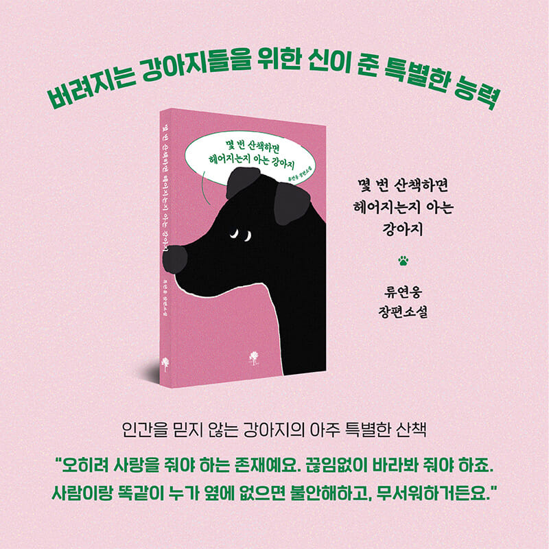 카드뉴스
