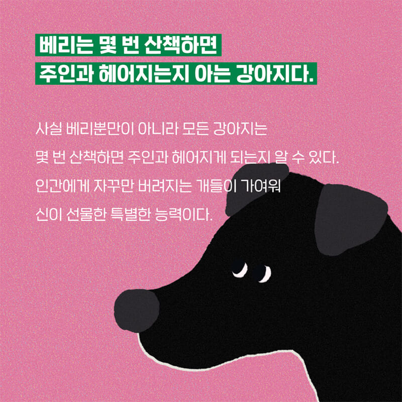 카드뉴스