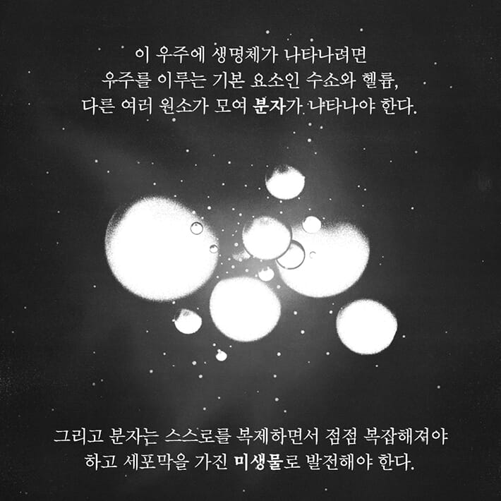 카드뉴스3