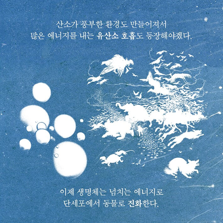 카드뉴스4