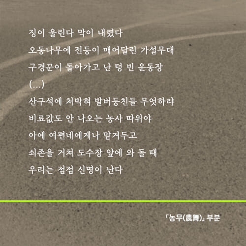 카드뉴스3
