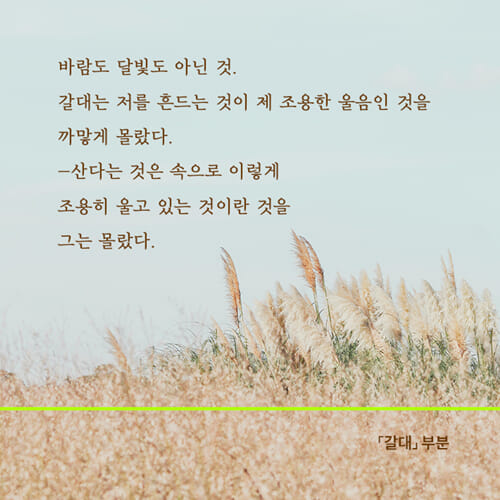 카드뉴스4