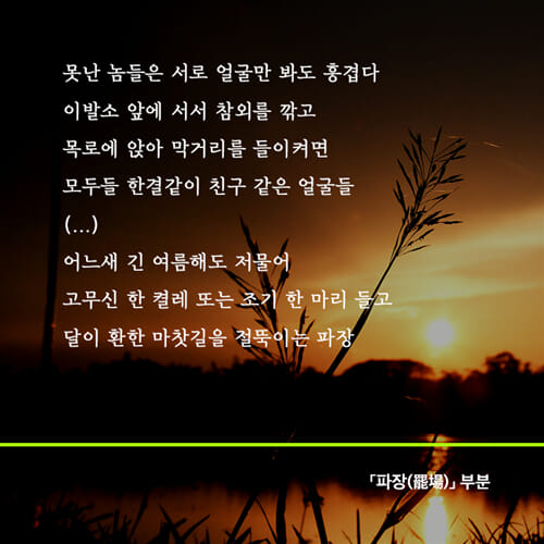 카드뉴스5