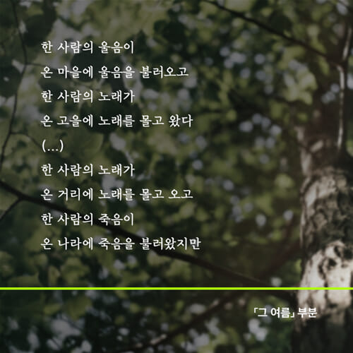 카드뉴스6