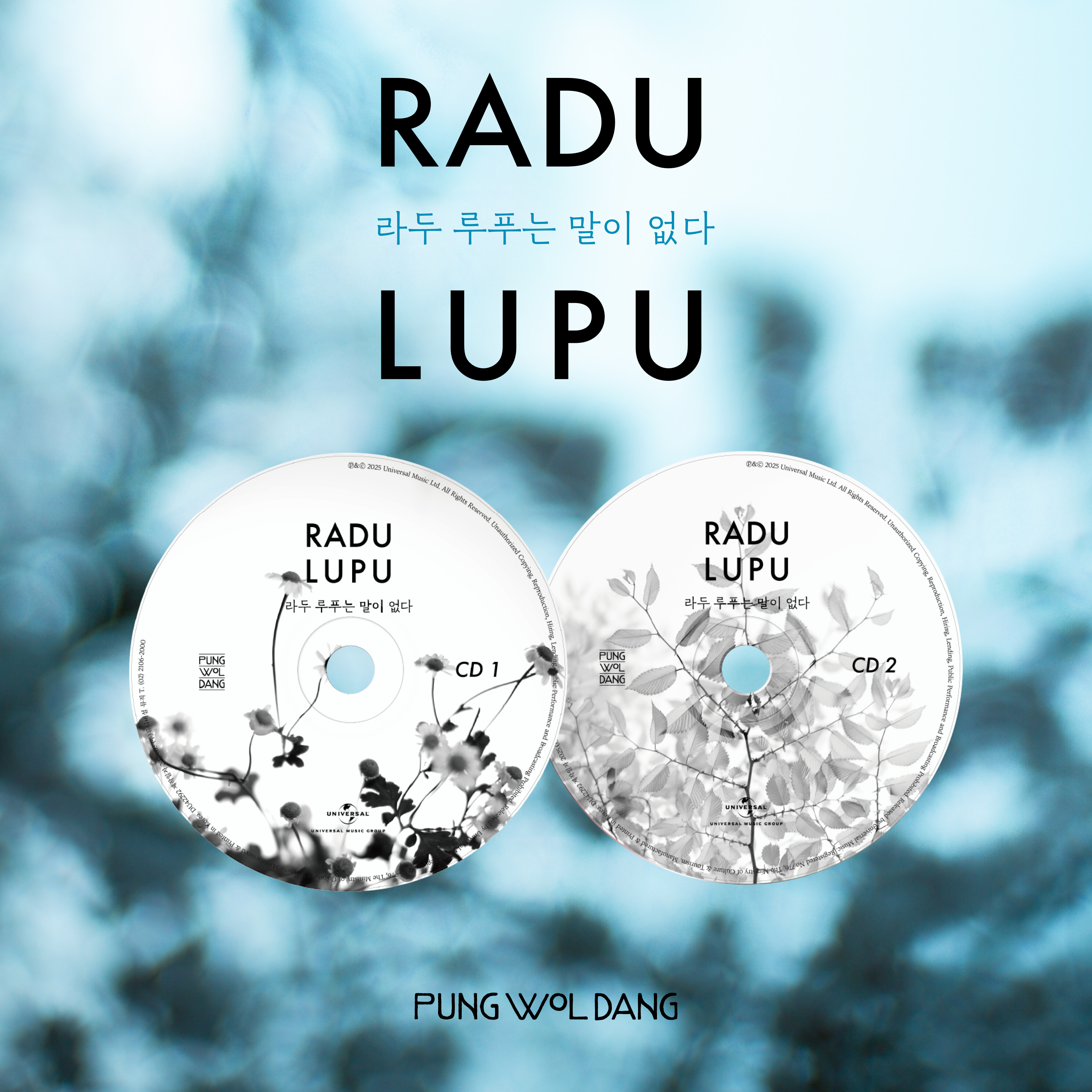 Radu Lupu (라두 루푸) - 라두 루푸는 말이 없다