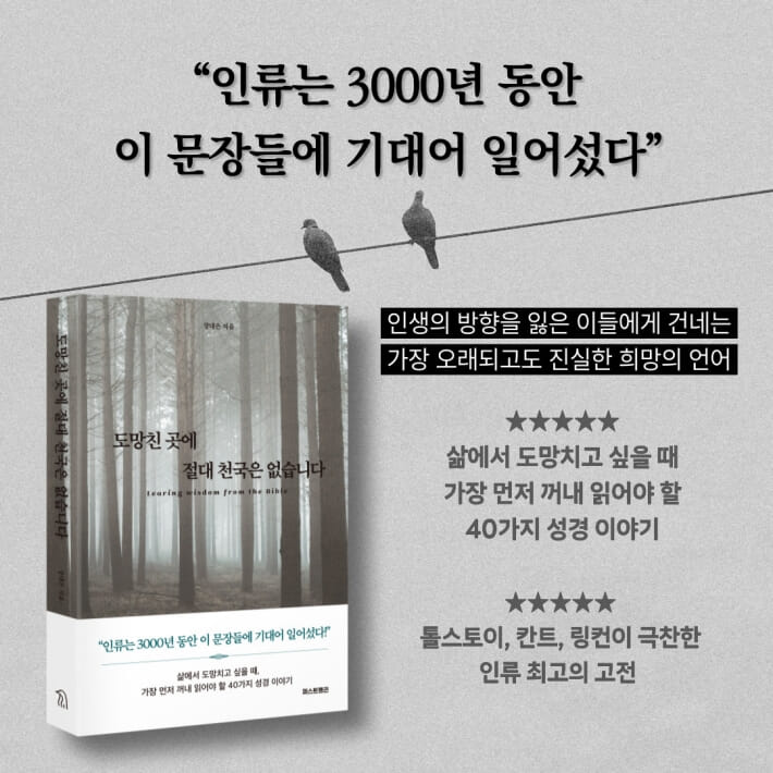 카드뉴스10