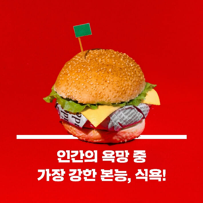 카드뉴스1