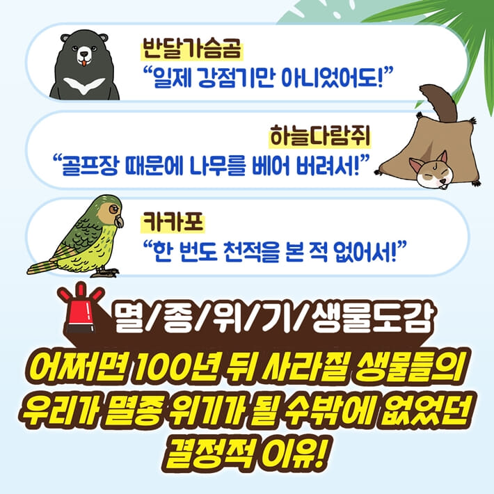 카드뉴스3