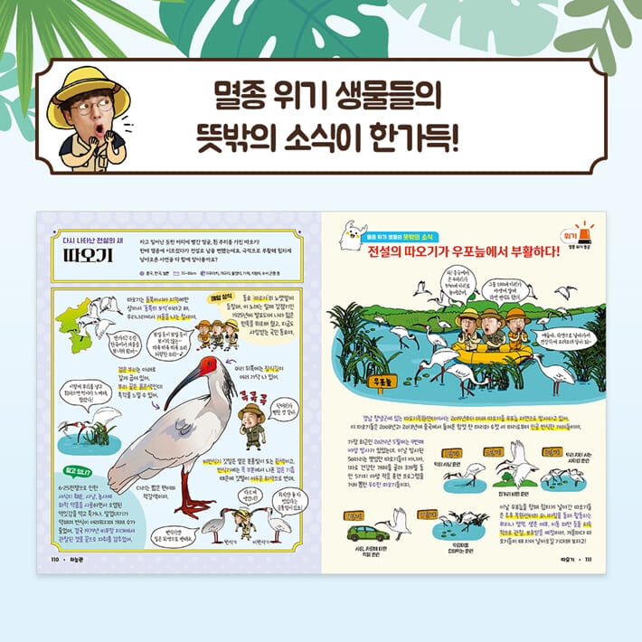 카드뉴스6