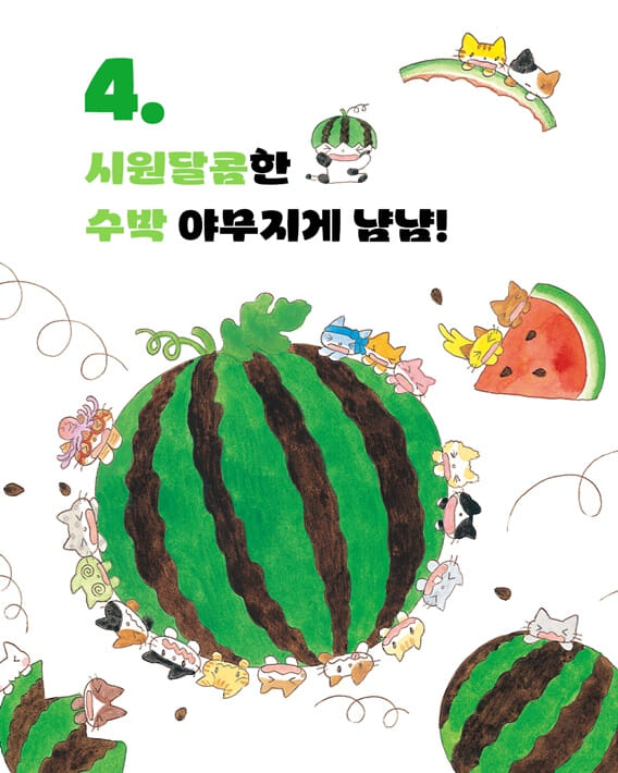 카드뉴스5