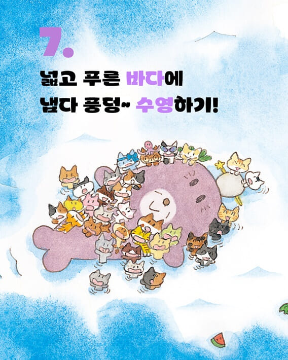 카드뉴스8