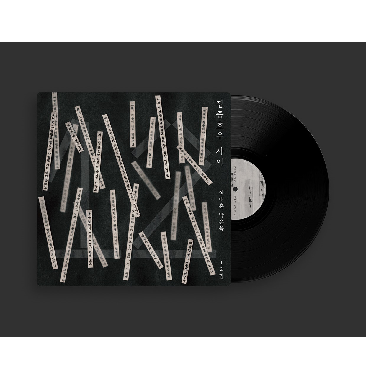 정태춘 박은옥 - 12집 : 집중호우 사이 [LP]